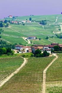 Landschaft. Quelle: Matthias Stelzig