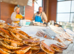 Meeresfrüchte Markt Port-en-Bessin, Quelle: Matthias Stelzig