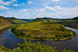 Moselschleife am Calmond © Matthias Stelzig